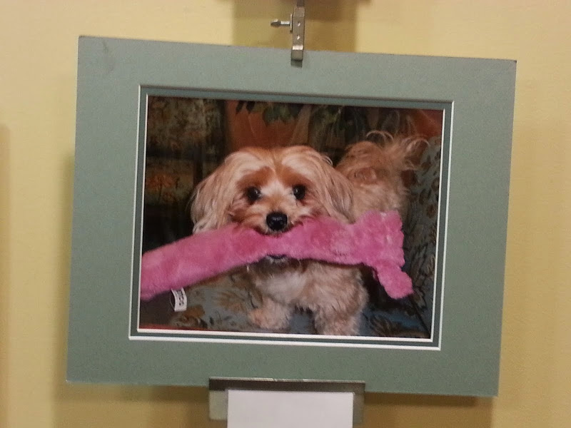 20150103_141051 - Agawam Public Library - Agawam, (MA) Massachusetts